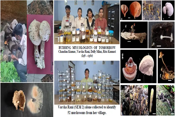 Exploration of Natural Mushroom Diversity Of Hazaribag